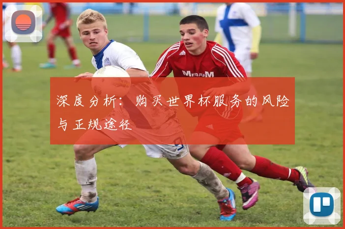 深度分析:购买世界杯服务的风险与正规途径