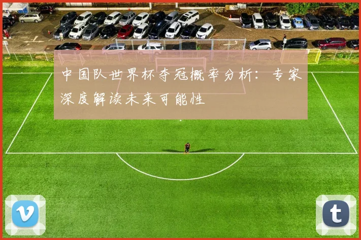 中国队世界杯夺冠概率分析:专家深度解读未来可能性