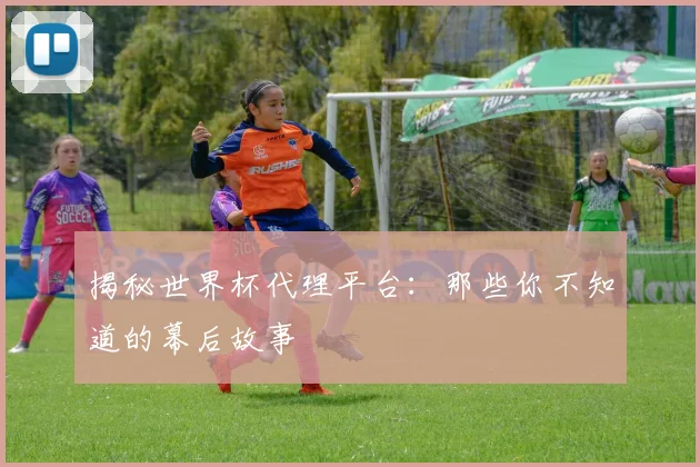 揭秘世界杯代理平台:那些你不知道的幕后故事