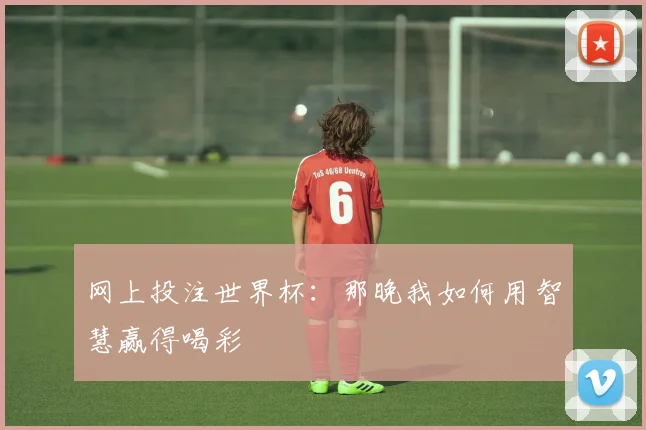 网上投注世界杯:那晚我如何用智慧赢得喝彩