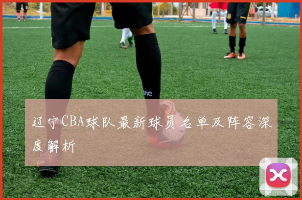 辽宁CBA球队最新球员名单及阵容深度解析