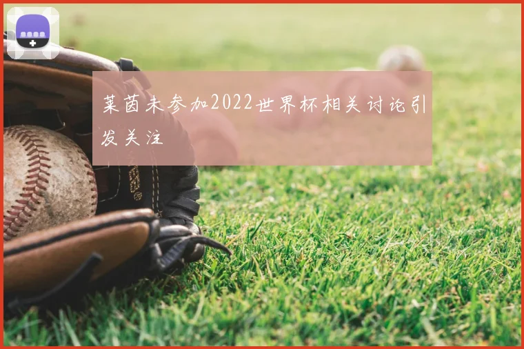 莱茵未参加2022世界杯相关讨论引发关注