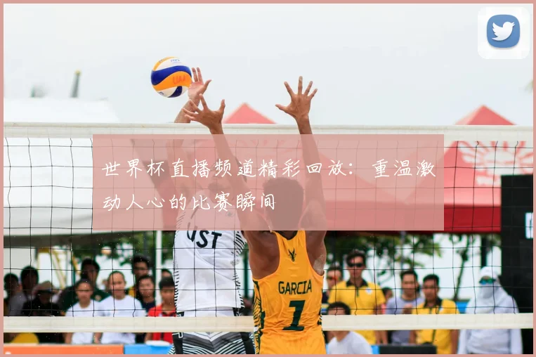 世界杯直播频道精彩回放：重温激动人心的比赛瞬间