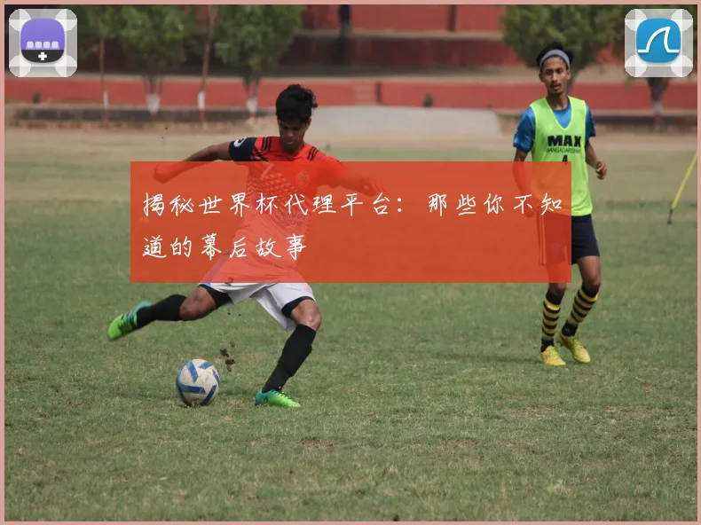 揭秘世界杯代理平台:那些你不知道的幕后故事