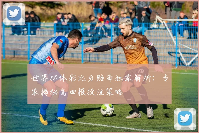 世界杯体彩比分赔率独家解析:专家揭秘高回报投注策略