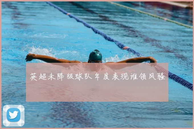 英超未降级球队年度表现谁领风骚