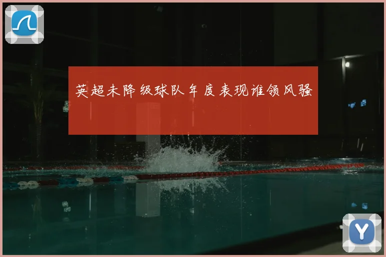 英超未降级球队年度表现谁领风骚