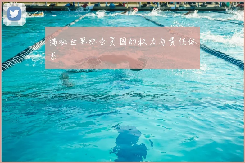 揭秘世界杯会员国的权力与责任体系