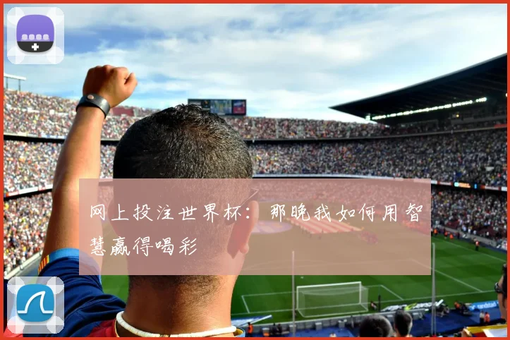 网上投注世界杯:那晚我如何用智慧赢得喝彩