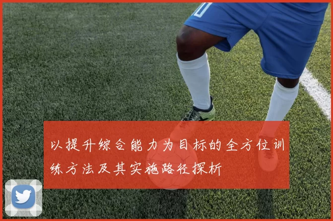 以提升综合能力为目标的全方位训练方法及其实施路径探析