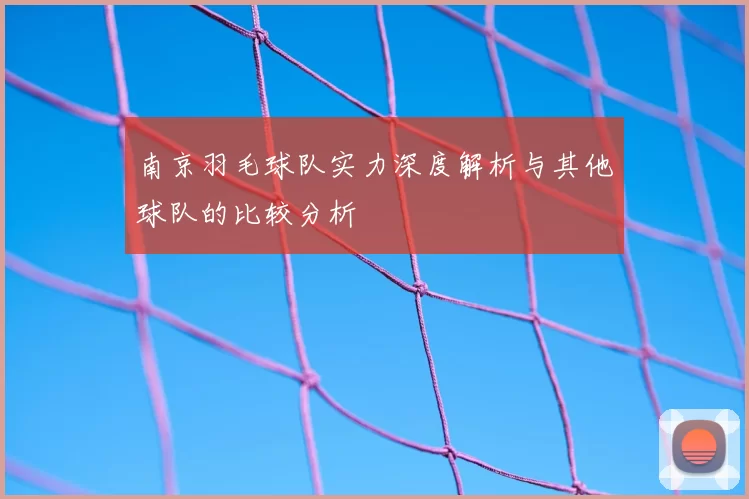 南京羽毛球队实力深度解析与其他球队的比较分析
