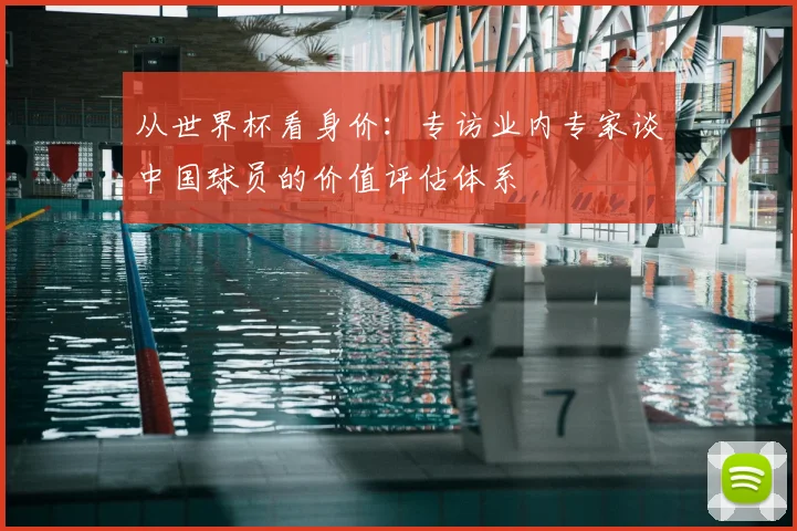 从世界杯看身价:专访业内专家谈中国球员的价值评估体系
